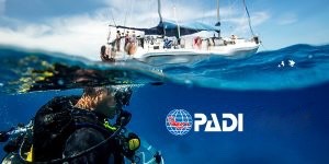 PADITravel Pros 600x300 300x150