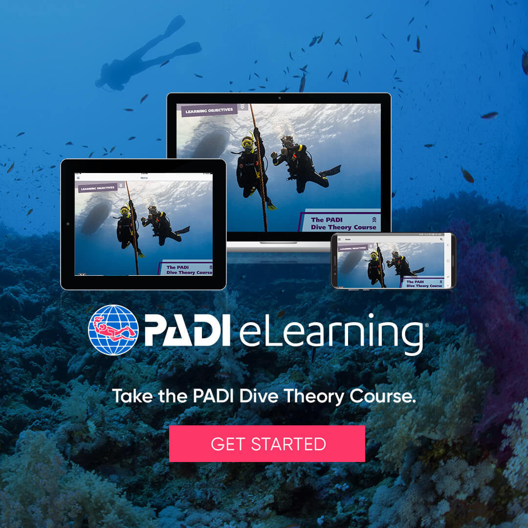 padi elearning 2