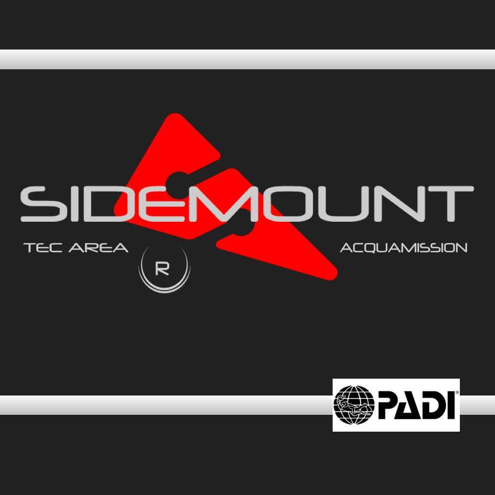 sidemount logo