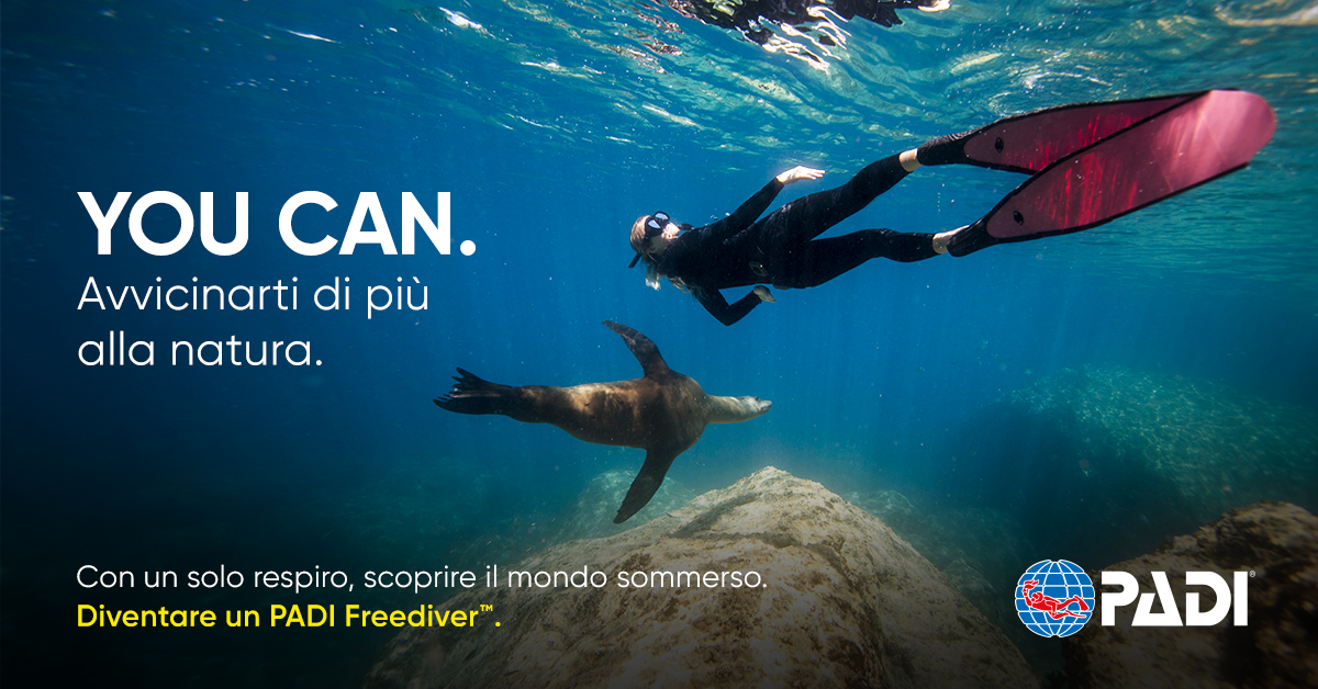 IT Freediver2 Blog Post 1200x600