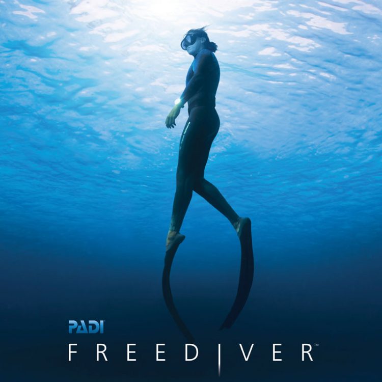 we freedive